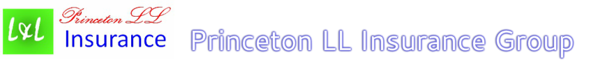 Princeton LL Insurance Group